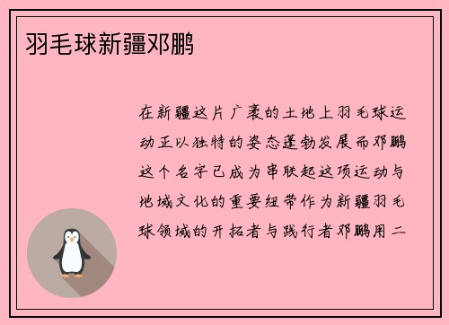 羽毛球新疆邓鹏